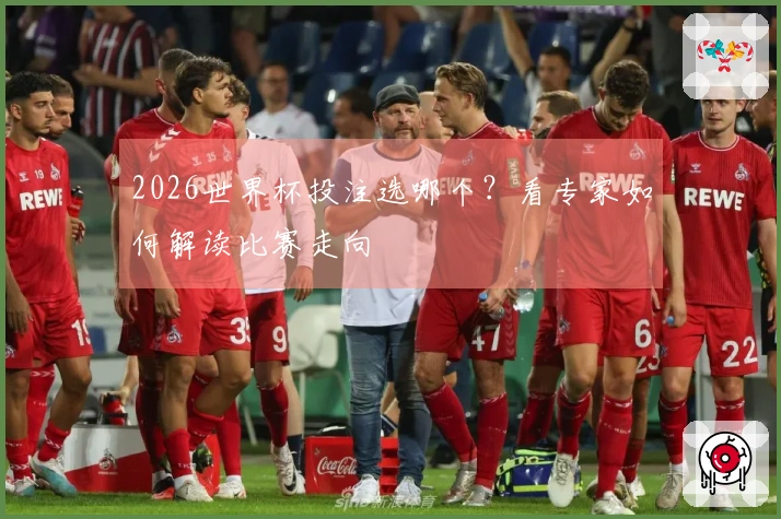 2026世界杯投注选哪个？看专家如何解读比赛走向