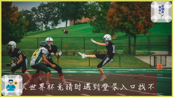 买世界杯竞猜时遇到登录入口找不到，如何判断平台的可靠性？