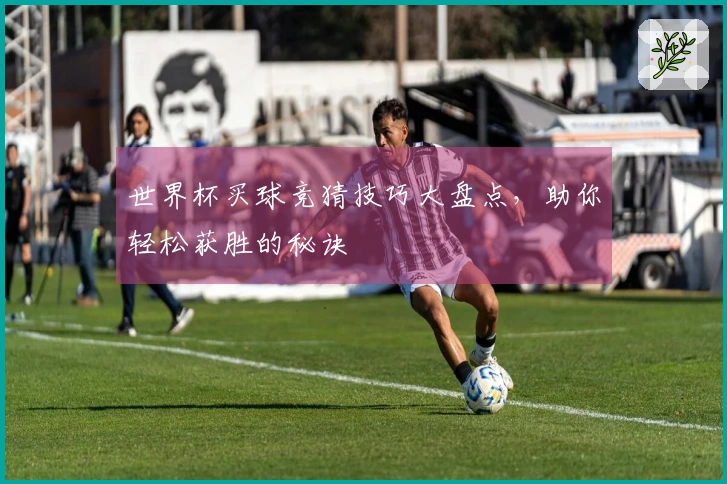 世界杯买球竞猜技巧大盘点，助你轻松获胜的秘诀