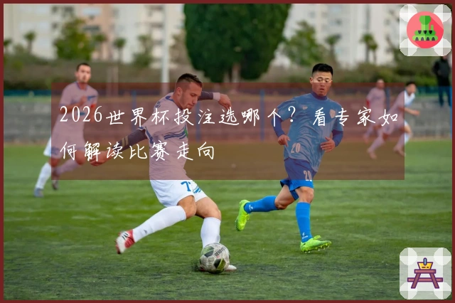 2026世界杯投注选哪个？看专家如何解读比赛走向