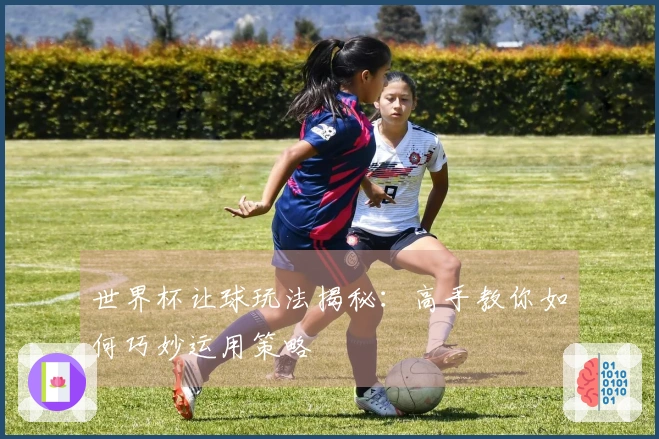 世界杯让球玩法揭秘：高手教你如何巧妙运用策略