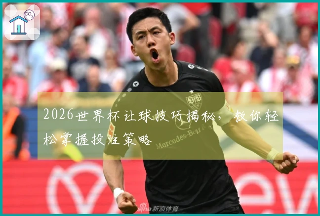 2026世界杯让球技巧揭秘，教你轻松掌握投注策略
