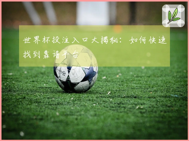 世界杯投注入口大揭秘：如何快速找到靠谱平台