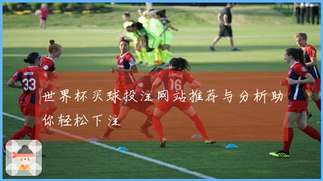 世界杯买球投注网站推荐与分析助你轻松下注