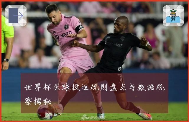 世界杯买球投注规则盘点与数据观察揭秘