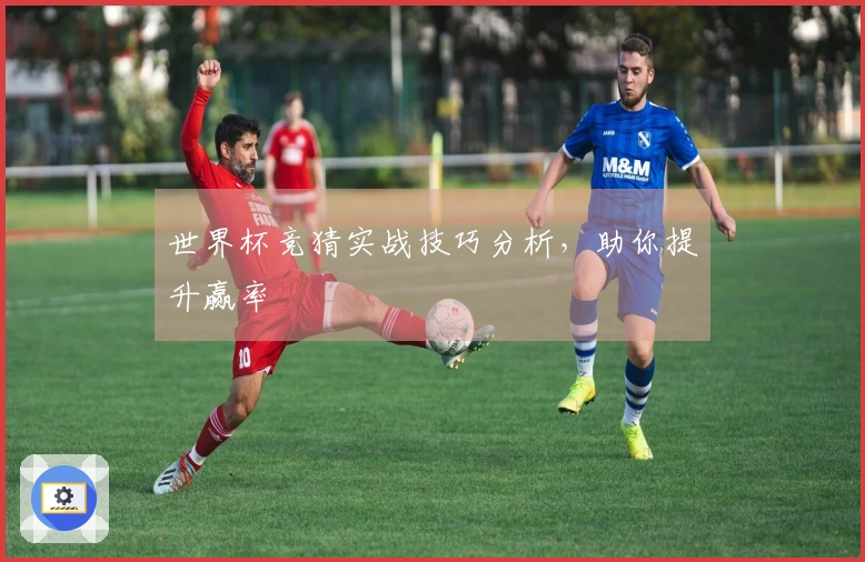 世界杯竞猜实战技巧分析，助你提升赢率