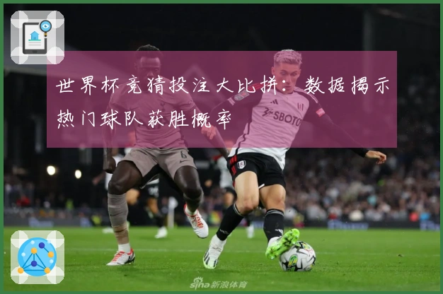 世界杯竞猜投注大比拼：数据揭示热门球队获胜概率