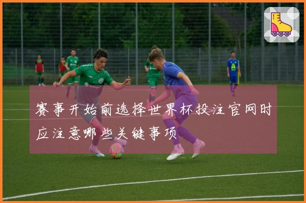 赛事开始前选择世界杯投注官网时应注意哪些关键事项