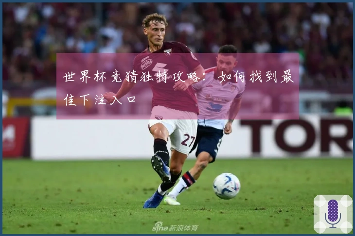世界杯竞猜独特攻略：如何找到最佳下注入口