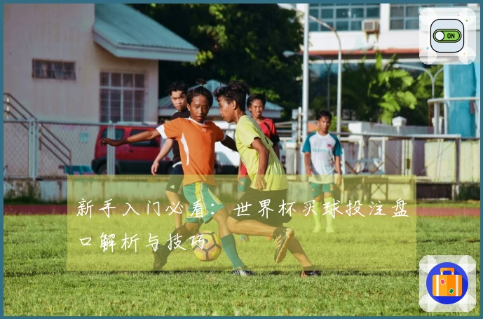 新手入门必看：世界杯买球投注盘口解析与技巧