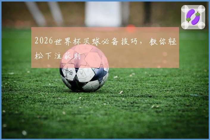 2026世界杯买球必备技巧，教你轻松下注获利