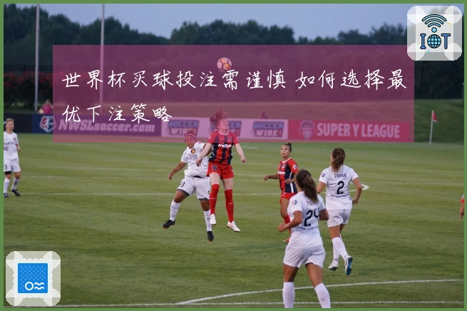 世界杯买球投注需谨慎 如何选择最优下注策略