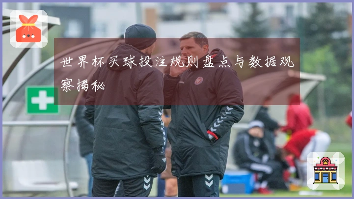 世界杯买球投注规则盘点与数据观察揭秘