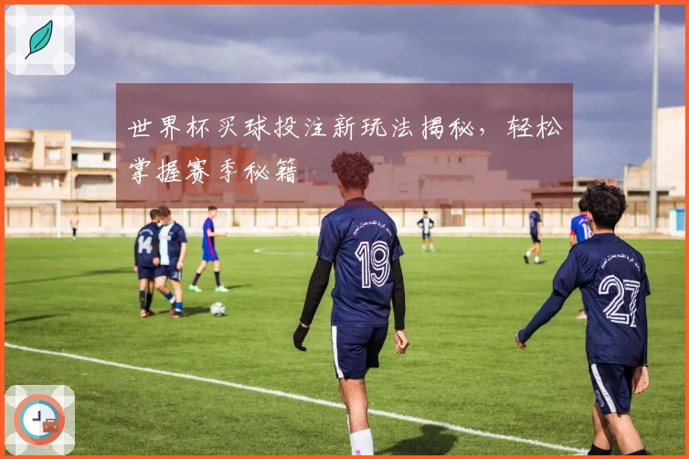 世界杯买球投注新玩法揭秘，轻松掌握赛季秘籍